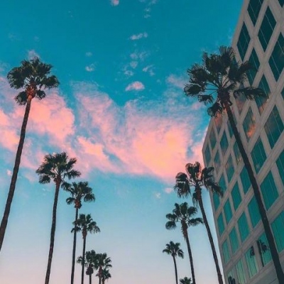 中国青训会好的