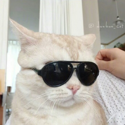 萌萌可爱小甜甜